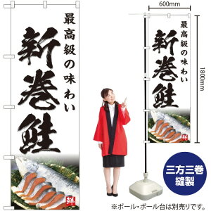 Vij ̂ڂ YN-4760i󒍐YiELZsj