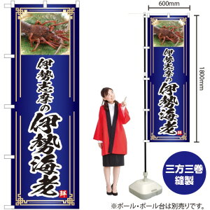 ɐüɐCVij ̂ڂ YN-4774i󒍐YiELZsj