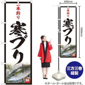 {ނ uij ̂ڂ YN-4809i󒍐YiELZsj