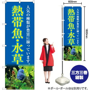 MыEij ̂ڂ YN-5404i󒍐YiELZsj