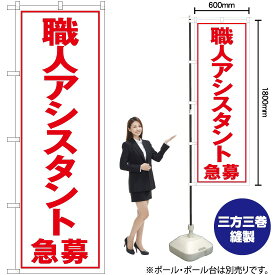 【3枚まで送料297円】職人アシスタント急募（白） のぼり YN-5546（受注生産品・キャンセル不可）