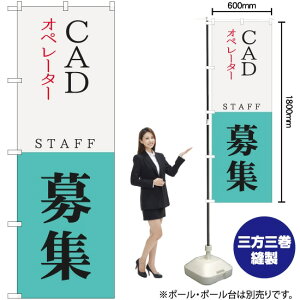 CAD�I�y���[�^�[ STAFF ��W �̂ڂ� YN-5635�i�󒍐��Y�i�E�L�����Z���s�j
