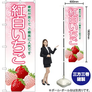 g ̂ڂ YN-6359i󒍐YiELZsj