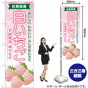 ꌧY  ̂ڂ YN-6360i󒍐YiELZsj