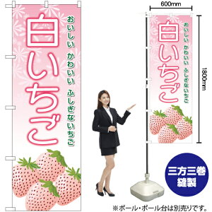  ̂ڂ YN-6362i󒍐YiELZsj