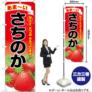 ̂ ̂ڂ YN-6379i󒍐YiELZsj