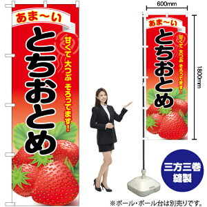 ƂƂ ̂ڂ YN-6381i󒍐YiELZsj