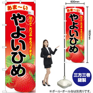 悢Ђ ̂ڂ YN-6384i󒍐YiELZsj