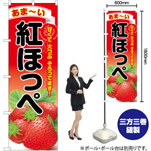 gق ̂ڂ YN-6389i󒍐YiELZsj