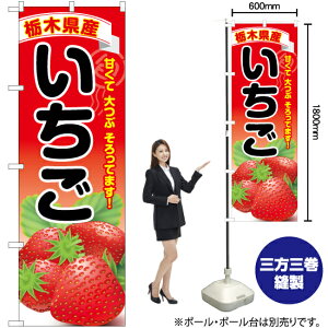 Ȗ،Y  ̂ڂ YN-6395i󒍐YiELZsj