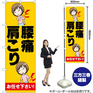   C ̂ڂ YN-6505i󒍐YiELZsj