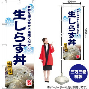炷 ij ̂ڂ YN-6604i󒍐YiELZsj