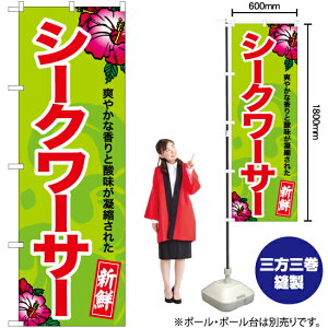 V[N[T[ ̂ڂ YN-6941i󒍐YiELZsj