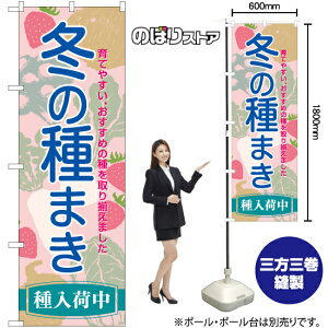 ~̎܂ ̂ڂ YN-7800i󒍐YiELZsj