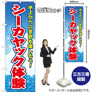 ̂ڂ V[JbŇ ォ̌iFyI ij YN-8658 i󒍐YiELZsj