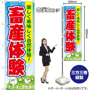 ̂ڂ {Y̌ yŘI iFE{j YN-8695 i󒍐YiELZsj