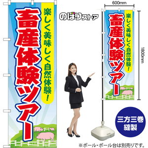 ̂ڂ {Y̌cA[ yŘI iFE؁j YN-8850 i󒍐YiELZsj