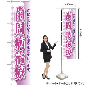 a X}[ĝڂ YNS-0217i󒍐YiELZsj