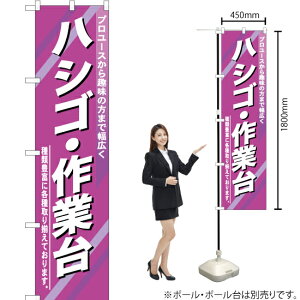 nVS EƑ X}[ĝڂ YNS-0431i󒍐YiELZsj