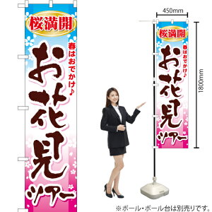 ԌcA[ X}[ĝڂ YNS-0450i󒍐YiELZsj