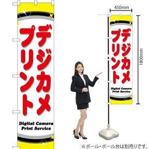 fWJvg X}[ĝڂ YNS-0509i󒍐YiELZsj