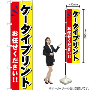 P[^CvgC X}[ĝڂ YNS-0527i󒍐YiELZsj