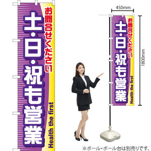 y E Ejc X}[ĝڂ YNS-0659i󒍐YiELZsj