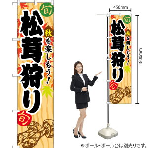  X}[ĝڂ YNS-1061i󒍐YiELZsj