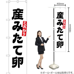 Y݂ė X}[ĝڂ YNS-1469i󒍐YiELZsj