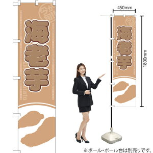 {I CV X}[ĝڂ YNS-2002i󒍐YiELZsj