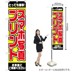 ƂĂȒP@X}zʐ^vg X}[ĝڂ YNS-2146i󒍐YiELZsj