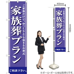 Ƒv X}[ĝڂ YNS-2208i󒍐YiELZsj