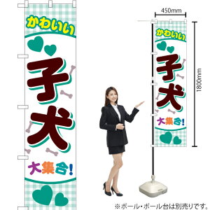 킢qWI X}[ĝڂ YNS-2419i󒍐YiELZsj