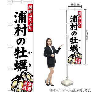 Ỷy ij X}[ĝڂ YNS-2836i󒍐YiELZsj