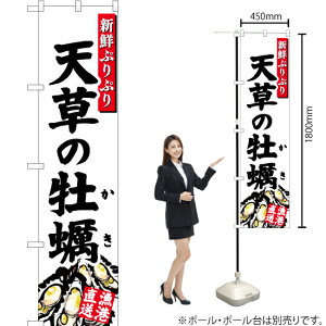 V̉y ij X}[ĝڂ YNS-2846i󒍐YiELZsj