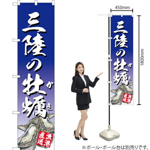 Ỏy ij X}[ĝڂ YNS-2861i󒍐YiELZsj