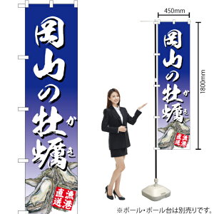 R̉y ij X}[ĝڂ YNS-2865i󒍐YiELZsj