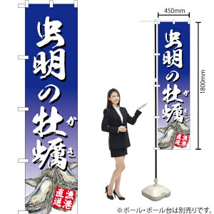 ̉y ij X}[ĝڂ YNS-2868i󒍐YiELZsj