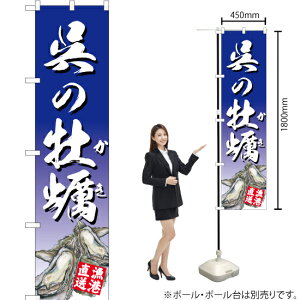 ̉y ij X}[ĝڂ YNS-2871i󒍐YiELZsj