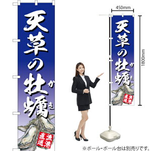 V̉y ij X}[ĝڂ YNS-2873i󒍐YiELZsj