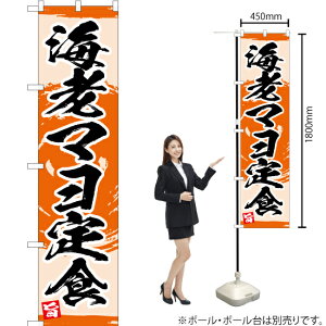 CV}H X}[ĝڂ YNS-3451i󒍐YiELZsj