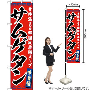 TQ^ X}[ĝڂ YNS-4672i󒍐YiELZsj