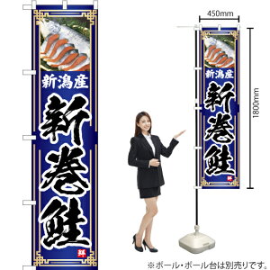 VY Vij X}[ĝڂ YNS-4759i󒍐YiELZsj