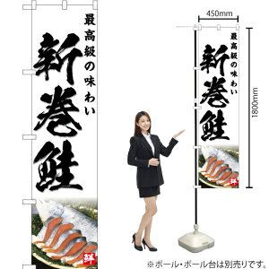 Vij X}[ĝڂ YNS-4760i󒍐YiELZsj