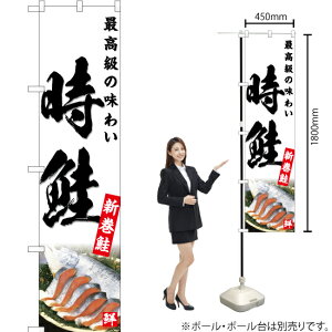  Vij X}[ĝڂ YNS-4761i󒍐YiELZsj