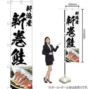 VY Vij X}[ĝڂ YNS-4765i󒍐YiELZsj