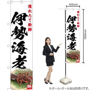 獲れたて新鮮伊勢海老 (白) スマートのぼり YNS-4779(受注生産品・キャンセル不可)
