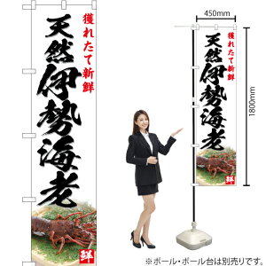 獲れたて新鮮 天然伊勢海老(白) スマートのぼり YNS-4781(受注生産品・キャンセル不可)