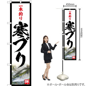 {ނ uij X}[ĝڂ YNS-4809i󒍐YiELZsj