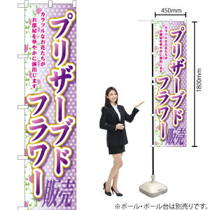 vU[uht[ X}[ĝڂ YNS-5222i󒍐YiELZsj